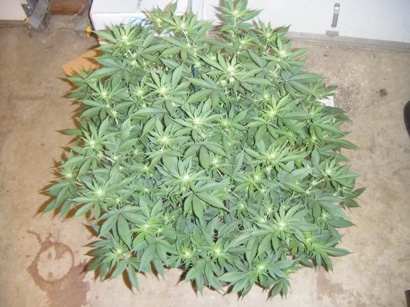 DSCF8222.jpg