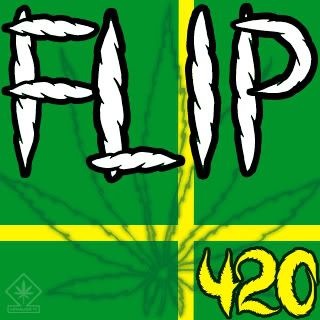 FlipDVcopy.jpg