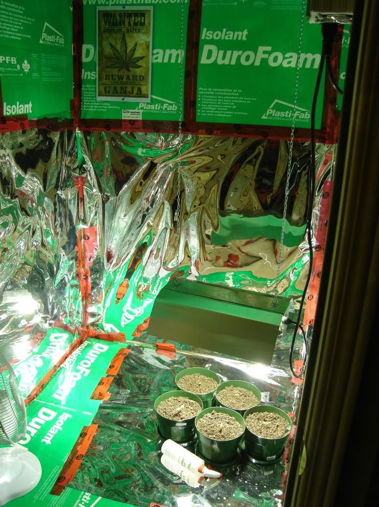 DSC02134-1.jpg
