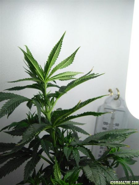 BB_CC_Update_Oct4_056.jpg