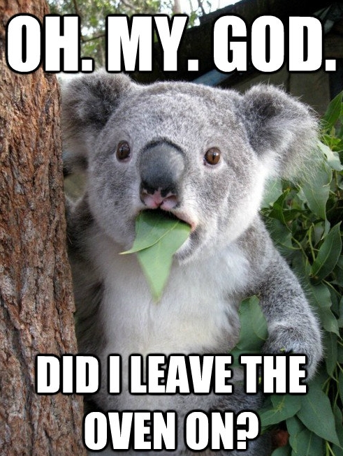 koala-bear-meme-10.jpg