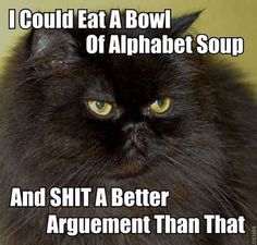2764691f6738a52bc526a6dd7d7c4131.jpg