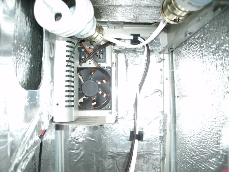 GEDC0397.jpg