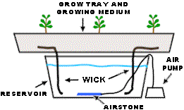 wicksys2.gif