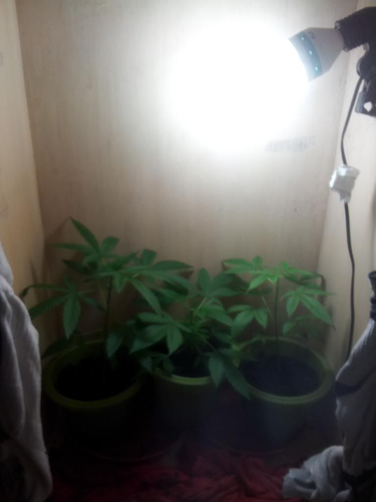 20140412_153448.jpg