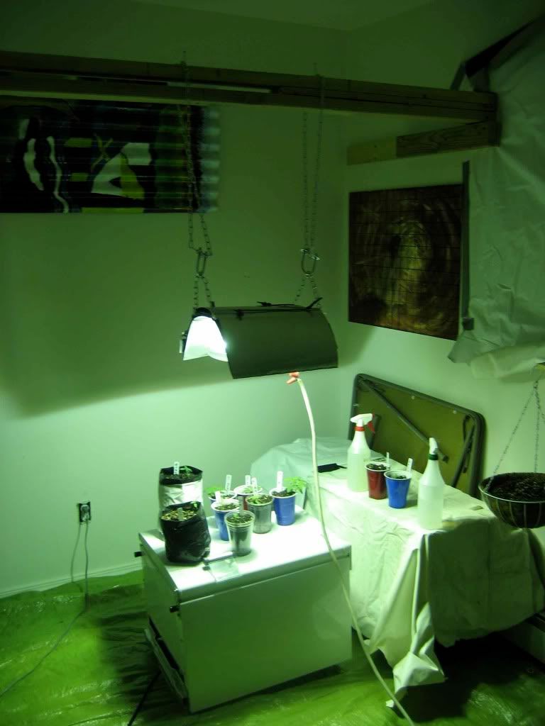 IMG_0625.jpg