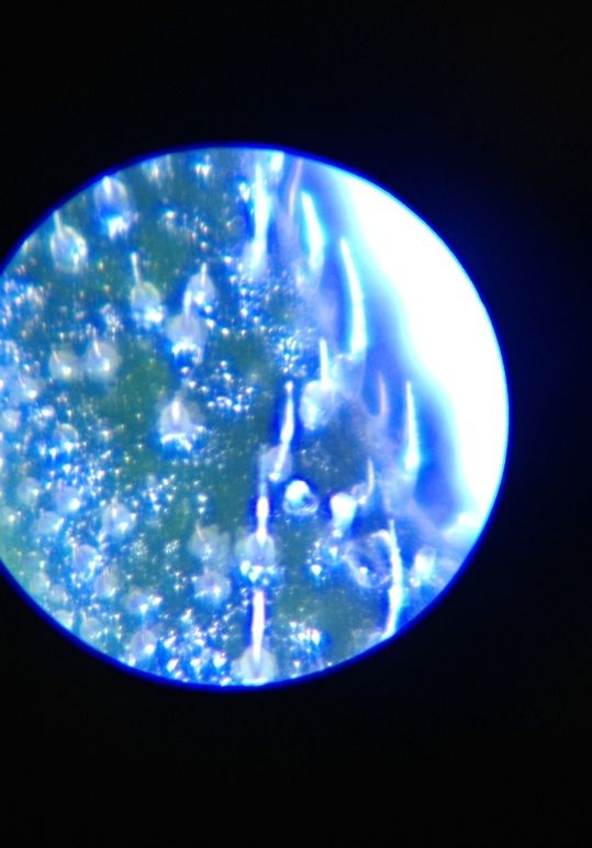 photo-19.jpg