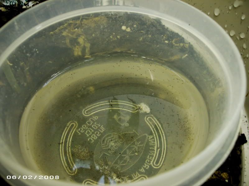 PICT2211.jpg