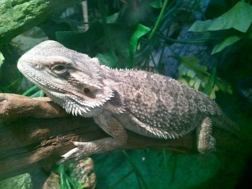 2011-07-18135145.jpg