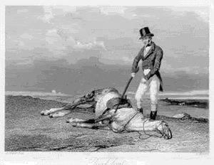 beating_a_dead_horse.gif