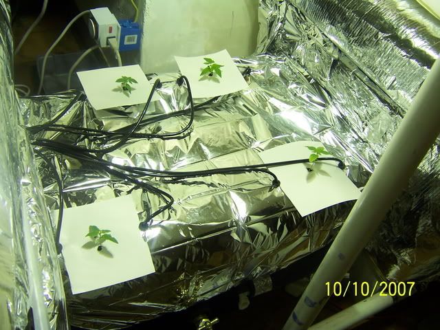 000_1677.jpg