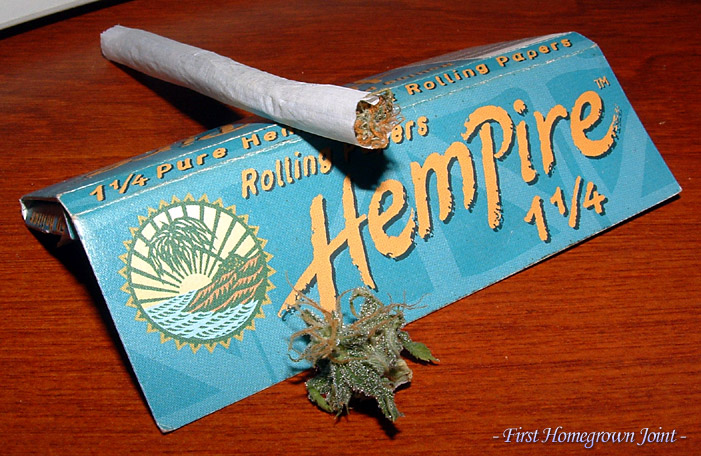 508071626-First-Joint-preharvest-cropped.jpg