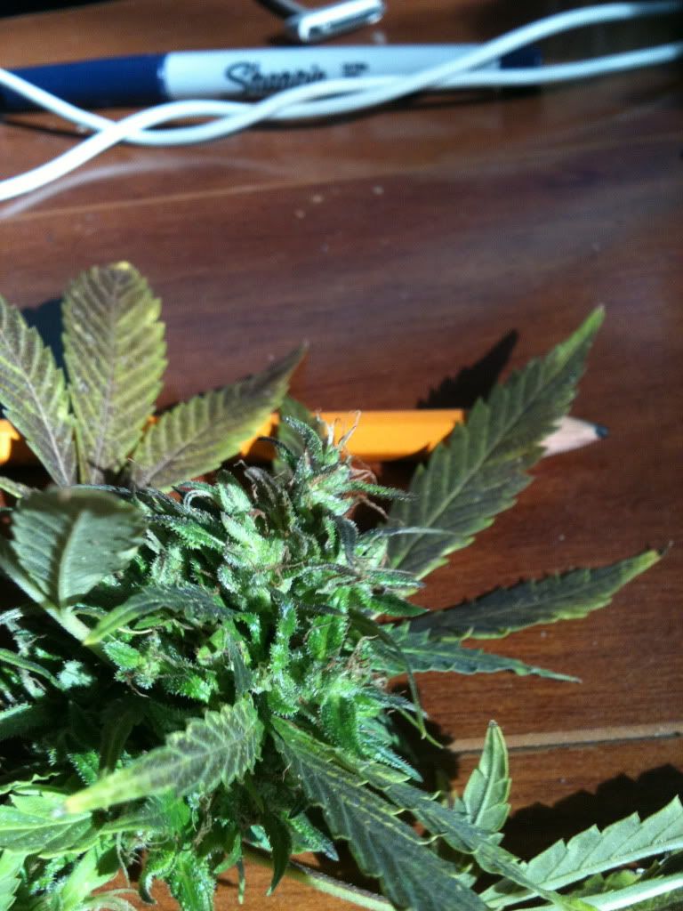 photo-2.jpg