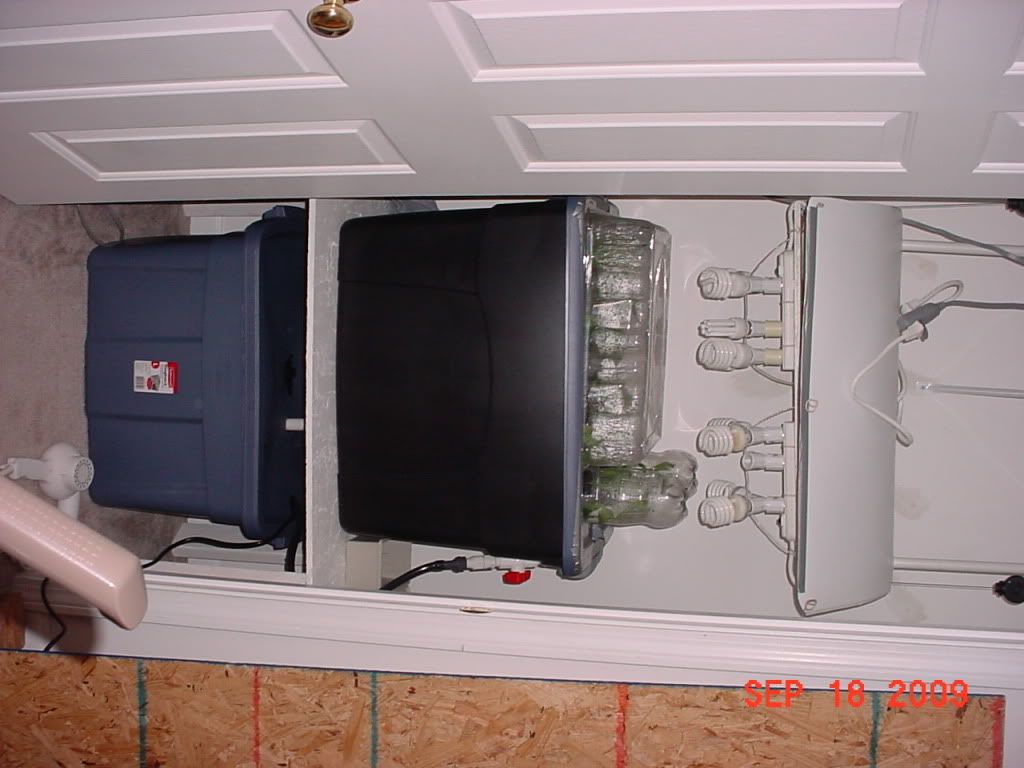 DSC00023.jpg