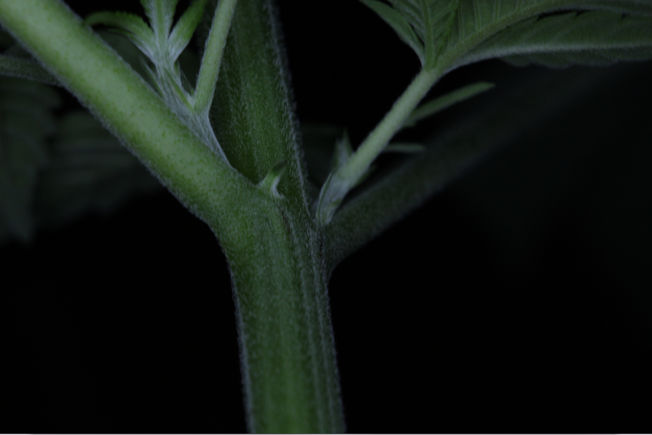 701dcddcc12caf10dba6791d61d7a981.png