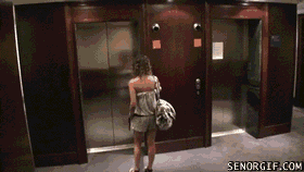 2LtKw.gif