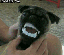 gifs_05.gif