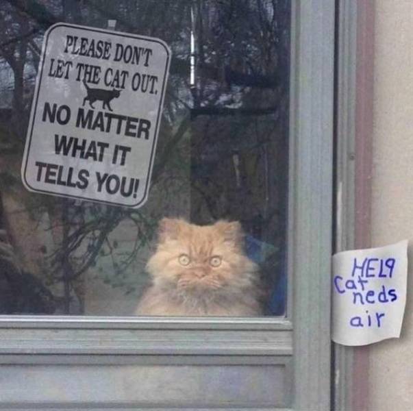 animals_01.jpg
