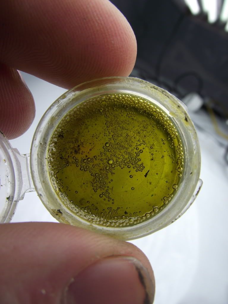 DSCF2104.jpg