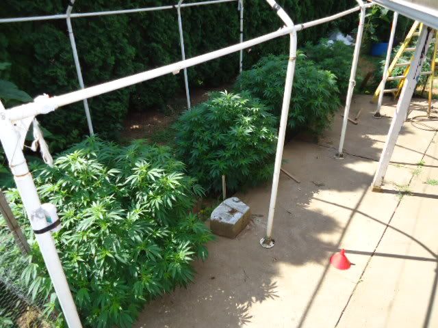 DSC05735.jpg