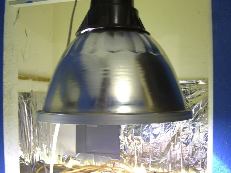 DIGI0443.jpg