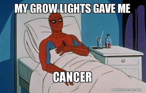 my-grow-lights.jpg