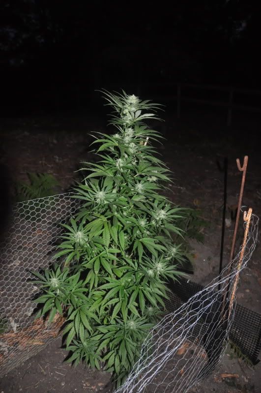 DSC_5105.jpg