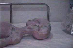 dead_alien_picture_1.jpg
