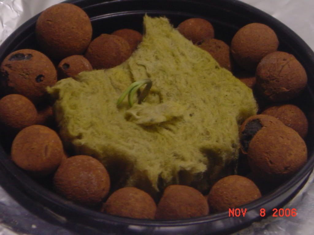 aa02.jpg