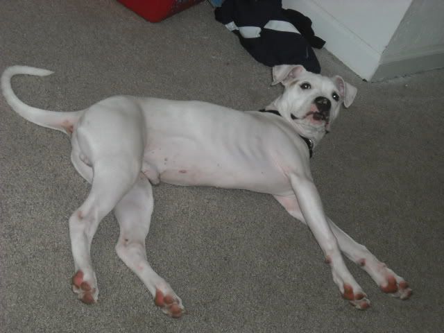 DSCF0141.jpg