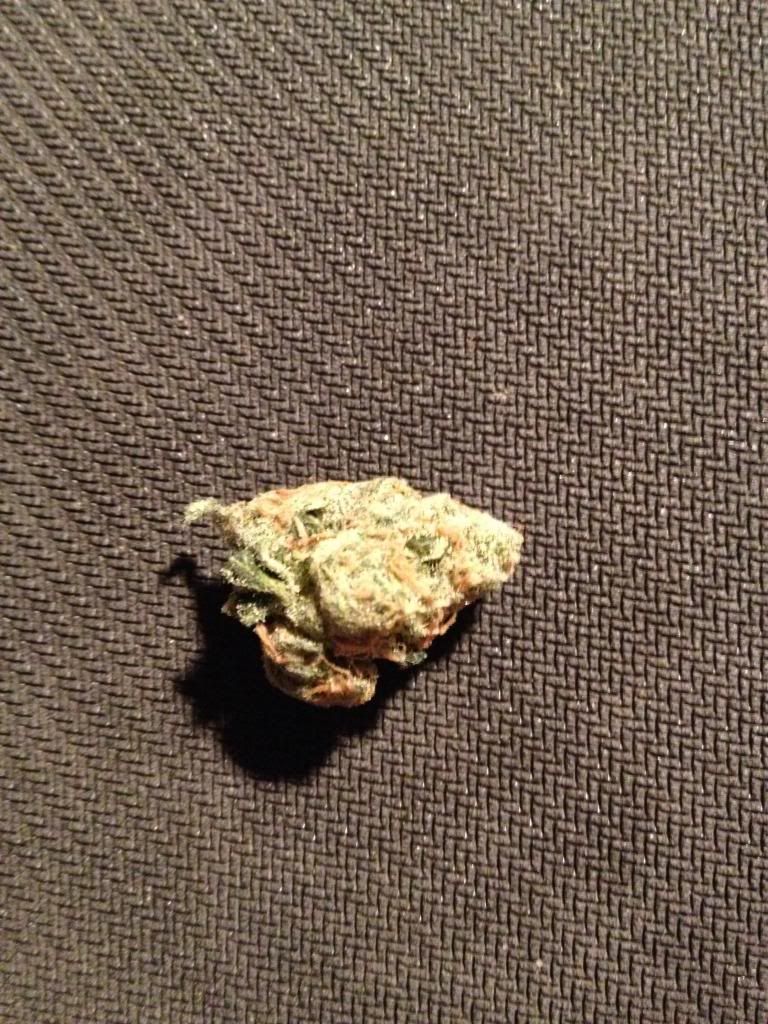 IMG_3033_zps005b6dc0.jpg