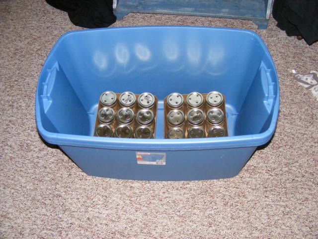 mushroomstuff003.jpg