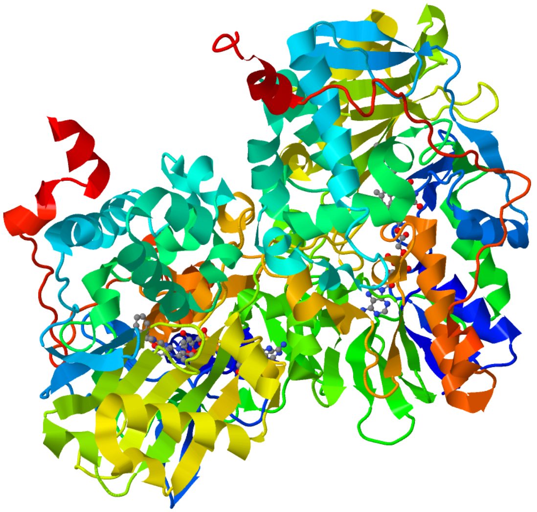 MonoamineOxidase-1GOS.png