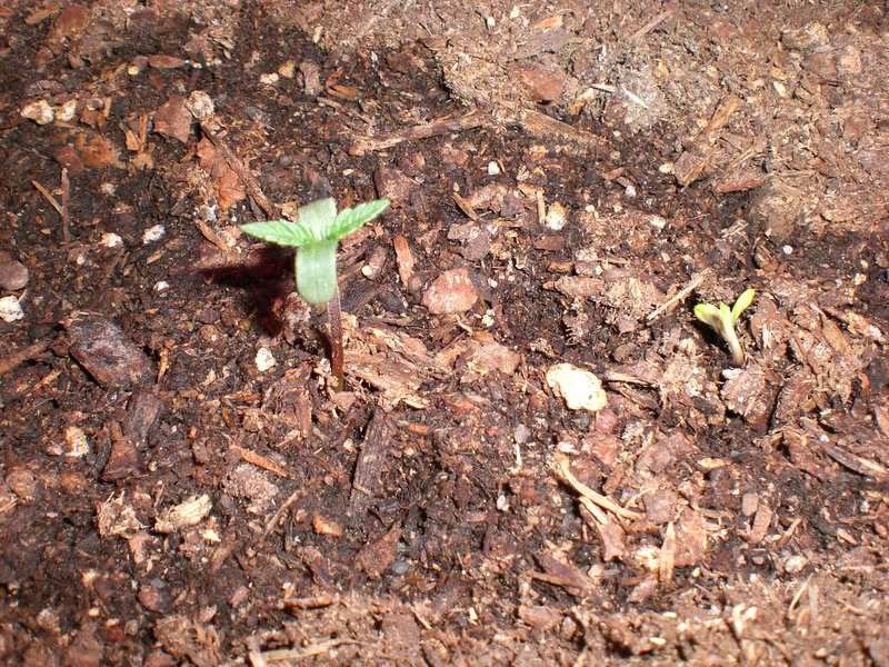 5-13-08.jpg