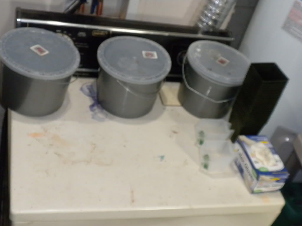 DSCN2704.jpg