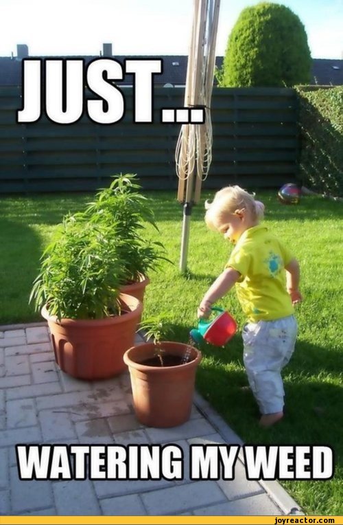 funny-pictures-auto-kids-baby-368962.jpeg