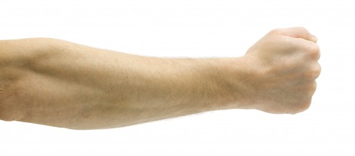 1749_fit512.jpg