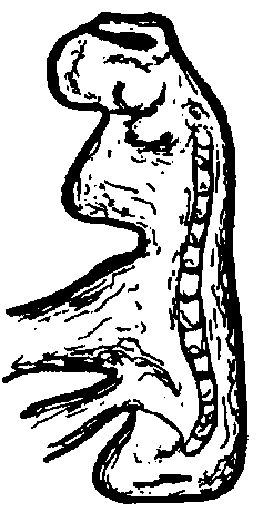 Image15.gif