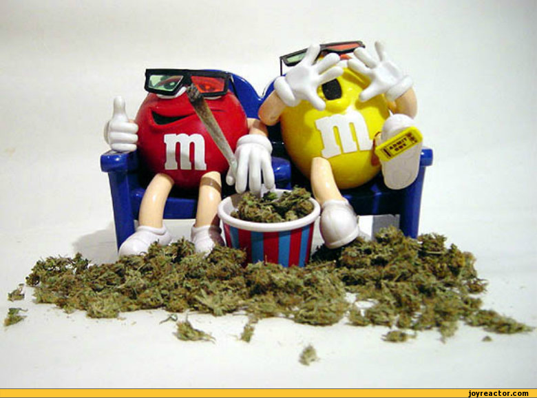 funny-pictures-stoner-humor-auto-drugs-379694.jpeg