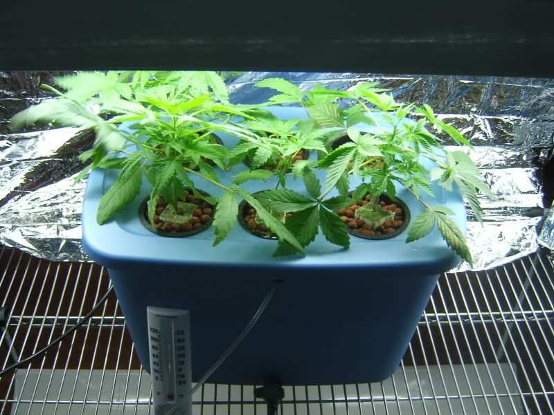 DCAM0051.jpg