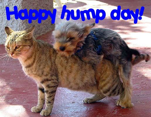 humpday9tq.jpg