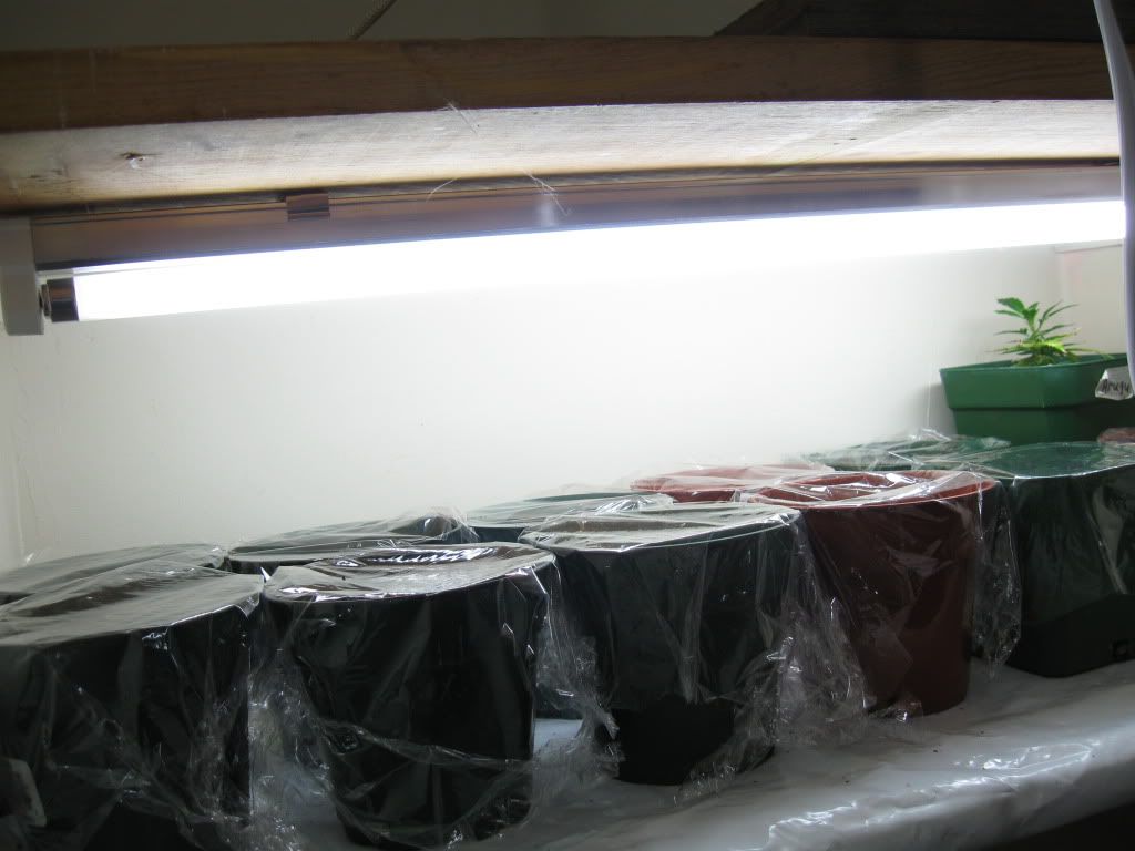 indoor09019.jpg
