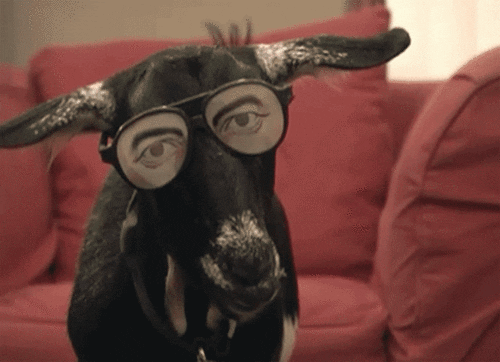 dTET4lZnBU8ec.gif