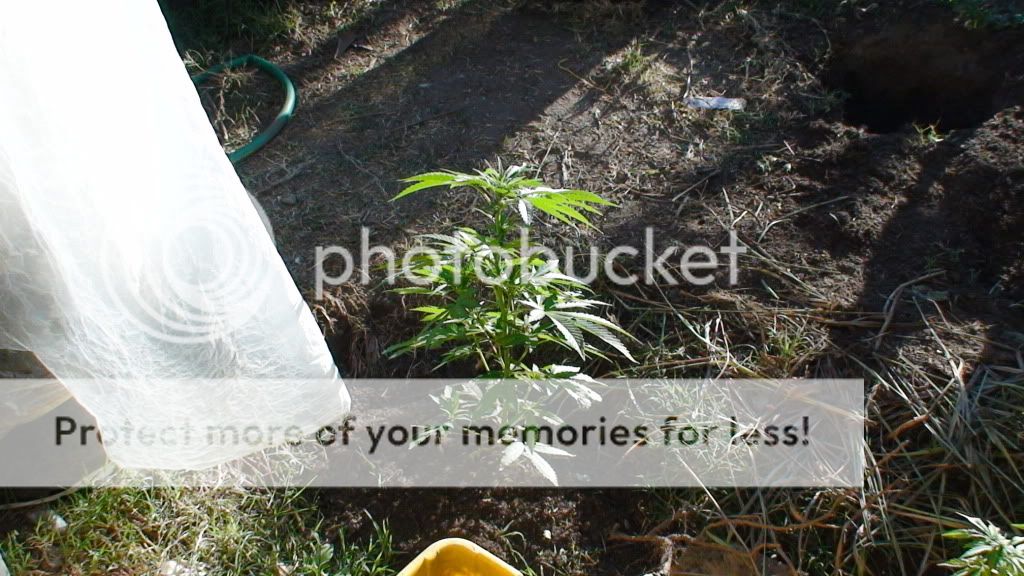 DSC00542.jpg