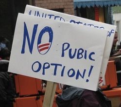 no-pubic-option_zpsba44f07c.jpg