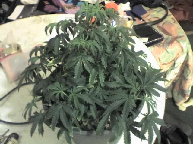 09-26-07_1539.jpg