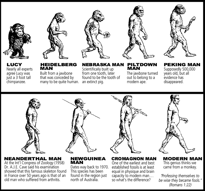 evolution.gif
