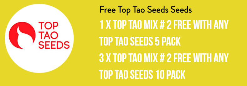 Top Tao Seeds Mix 2 Promo.png