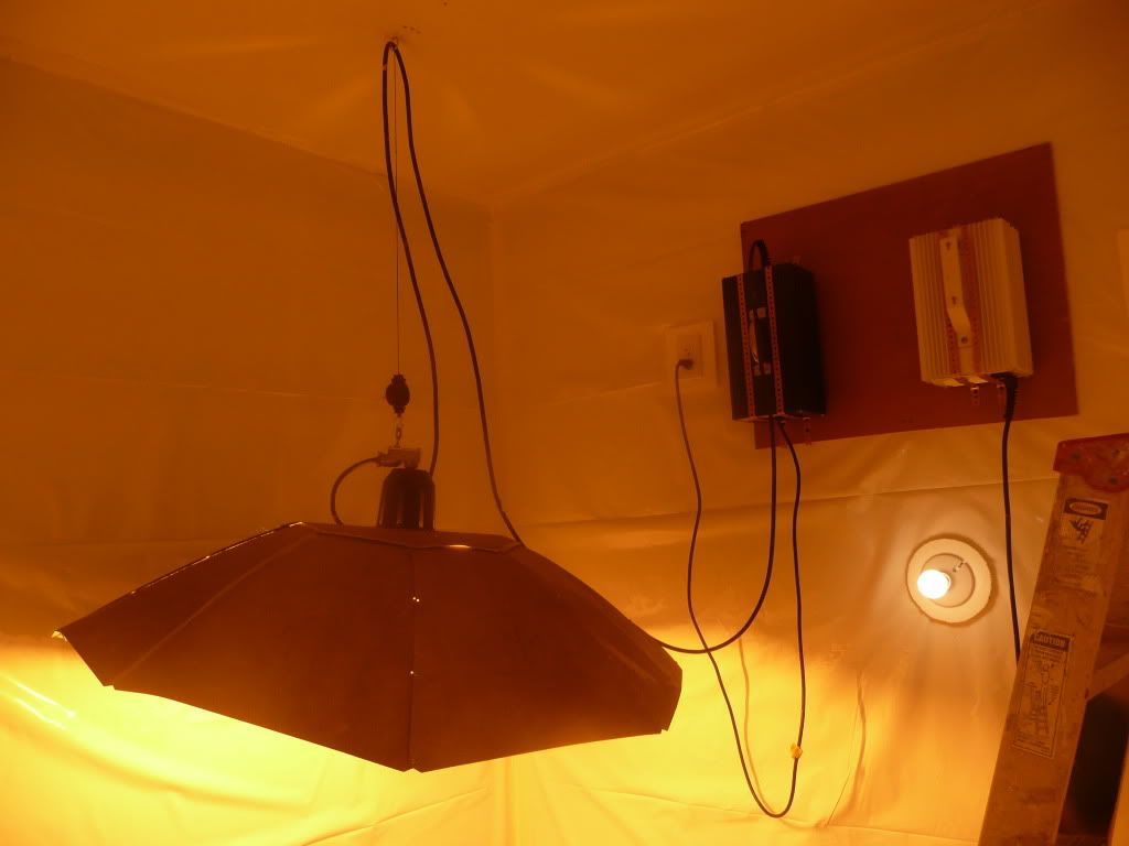 P1050333.jpg