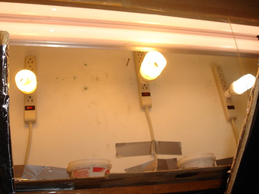 9-18-08010.jpg